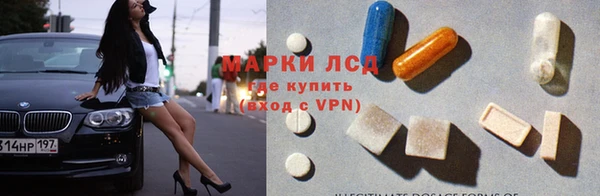 a pvp Пересвет
