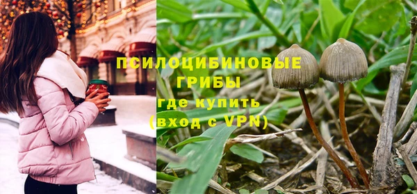 спиды Всеволожск