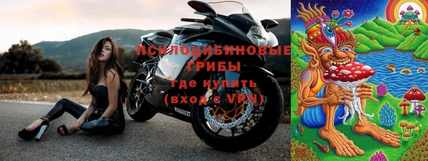 хмурый Вуктыл