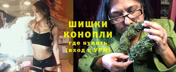 a pvp Пересвет