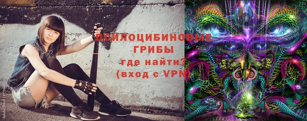 спиды Всеволожск